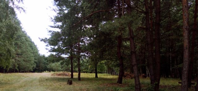 Działka rekreacyjna Władzin, ul. Siennicka. Zdjęcie 1