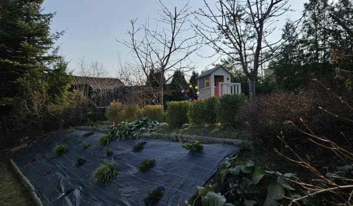 Działka rod Olsztyn