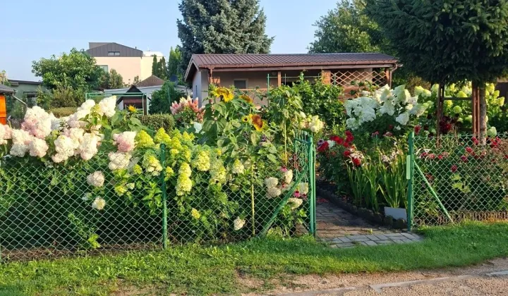 Działka rod Żyrardów