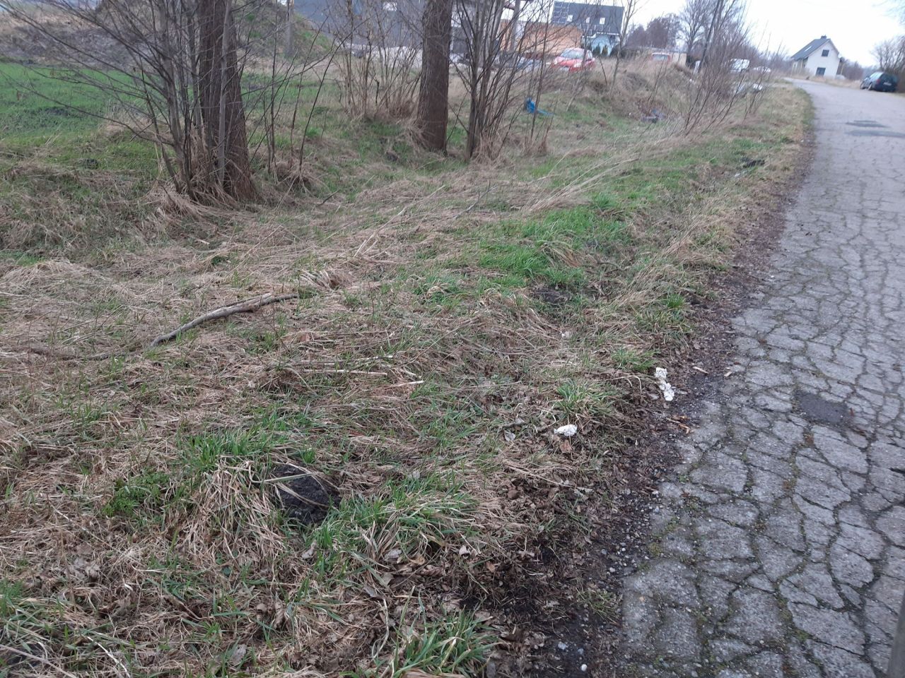 Działka budowlana Dzierżów. Zdjęcie 2