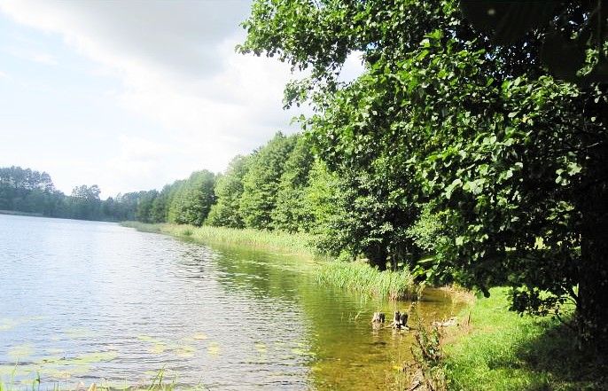 Działka rolna Rabalina. Zdjęcie 9