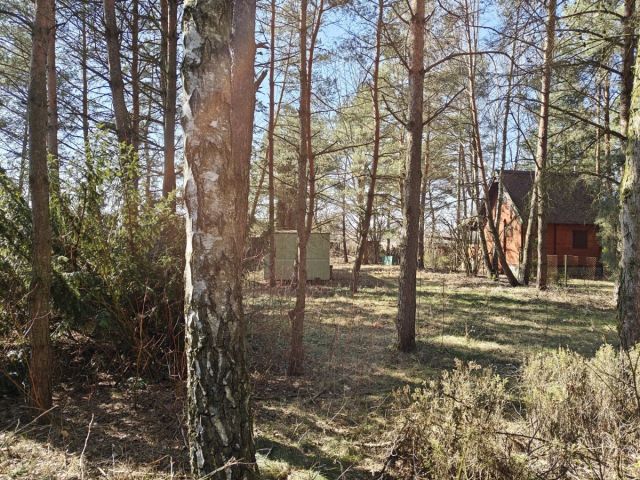 Działka budowlana Nowe Załubice, ul. Szumiących Traw. Zdjęcie 11