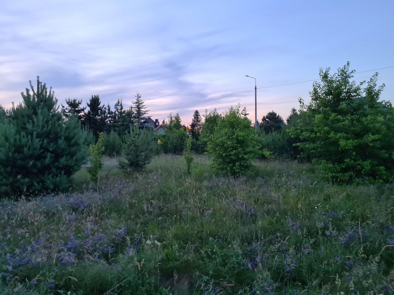 Działka rekreacyjna Lelewo. Zdjęcie 3