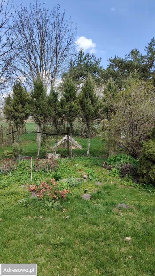 dom wolnostojący, 4 pokoje Obiechów. Zdjęcie 3