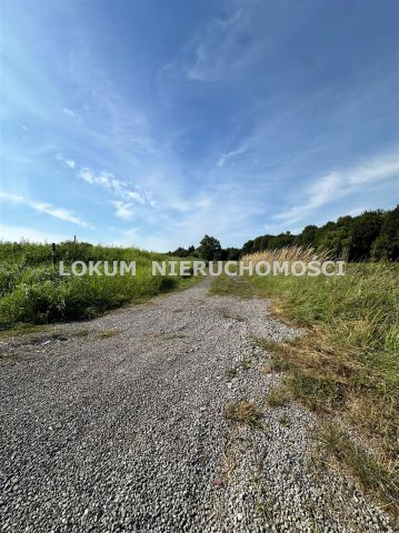 Działka rolna Zebrzydowice, ul. Adama Asnyka. Zdjęcie 4