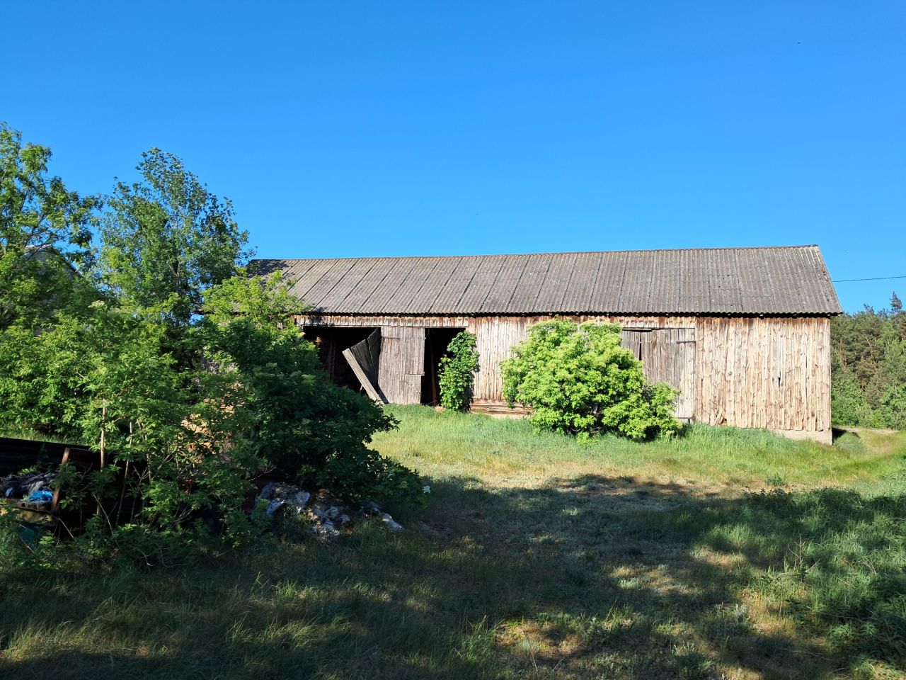 siedlisko Ignacewo. Zdjęcie 4