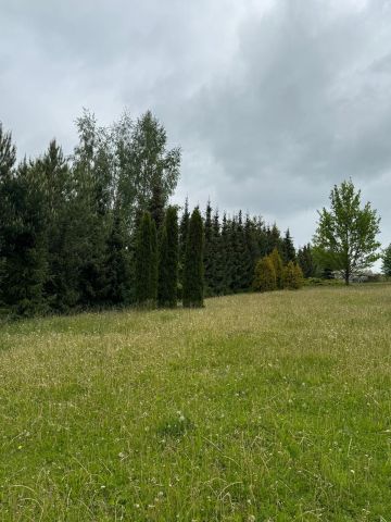 Działka rekreacyjna Nowa Wieś. Zdjęcie 1