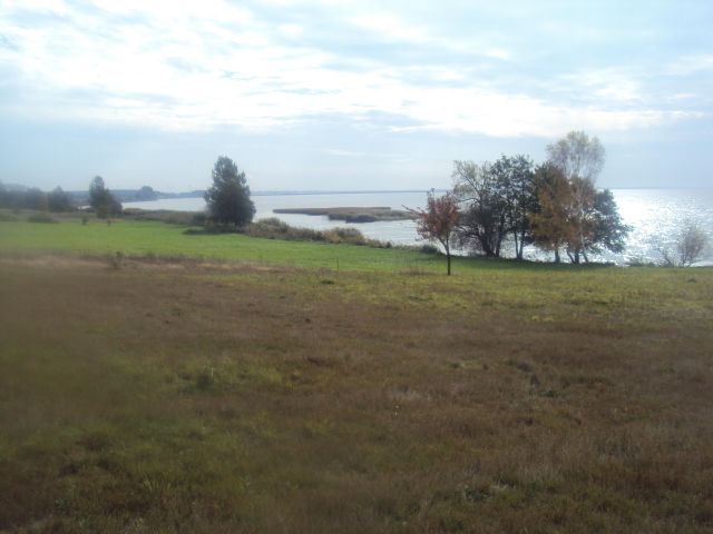 Działka rolno-budowlana Płocin. Zdjęcie 2