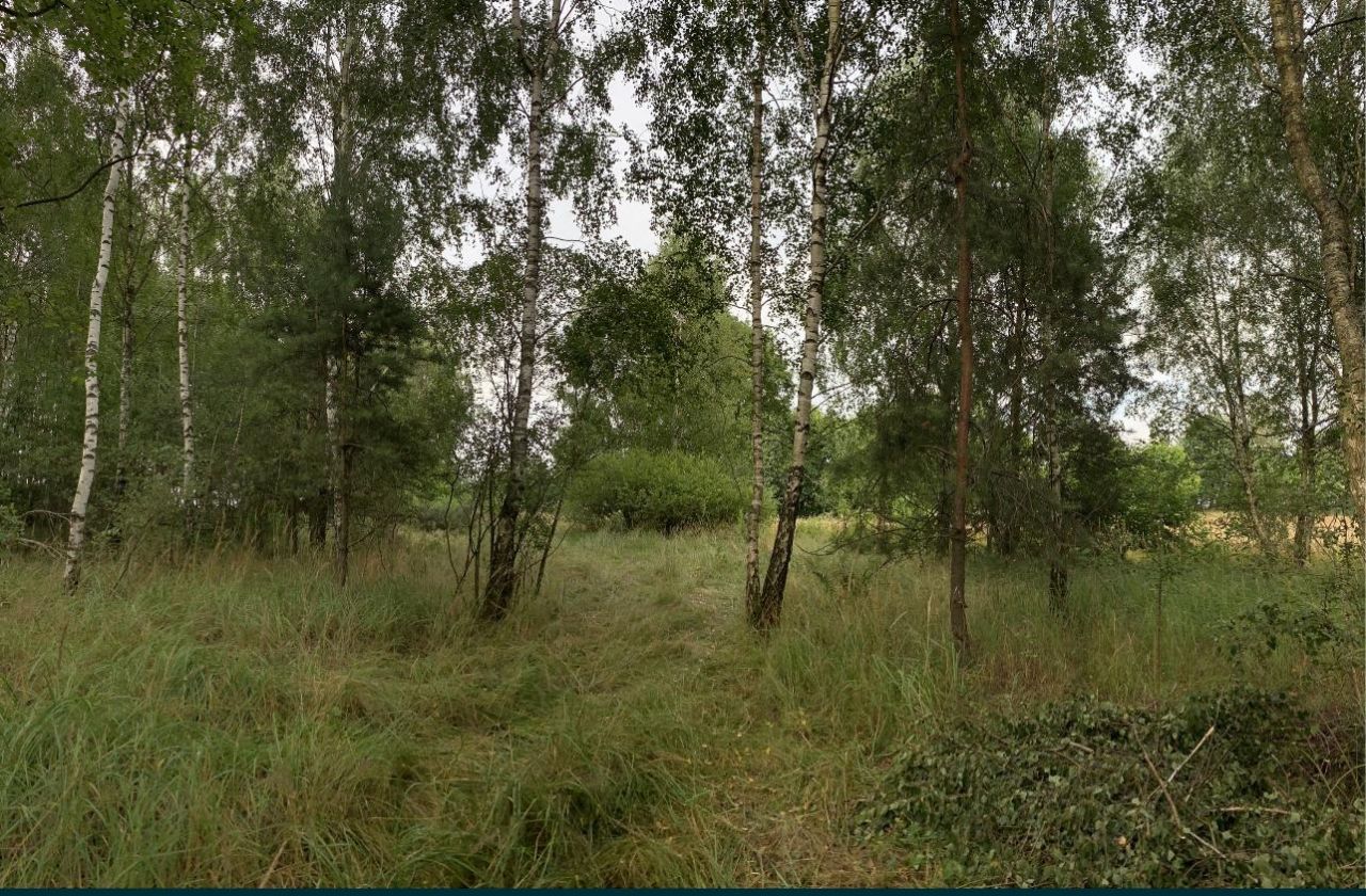 Działka rolna Broczyno. Zdjęcie 5