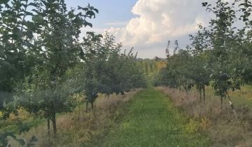 Działka rolna Sandomierz, ul. Pogodna