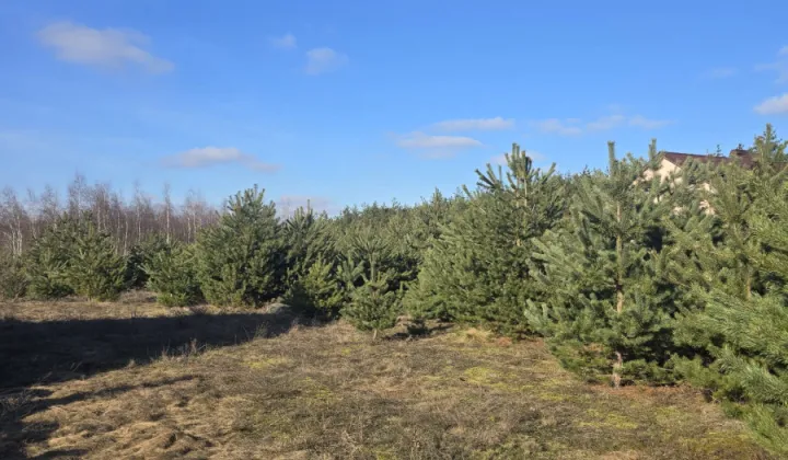 Działka budowlana Anastazewo