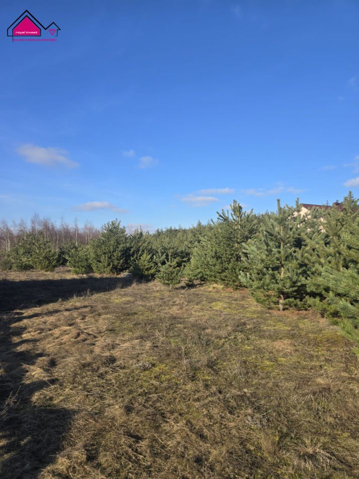 Działka budowlana Anastazewo. Zdjęcie 1