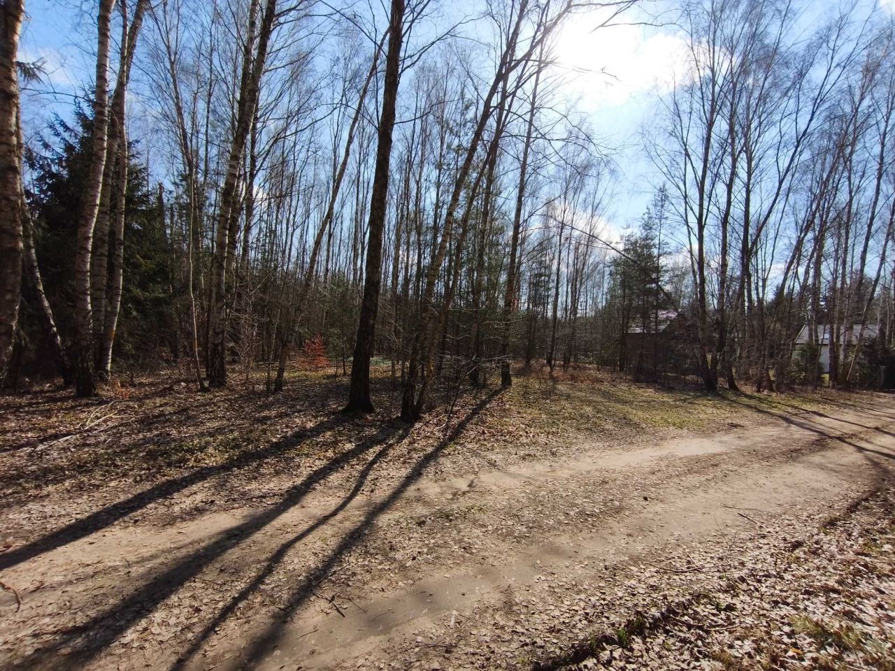 Działka Cyprianów. Zdjęcie 6