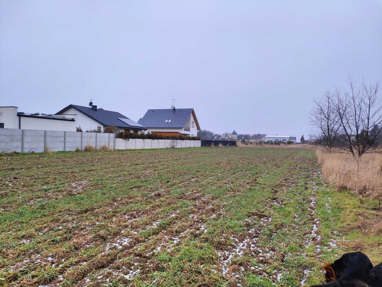 Działka rolno-budowlana Szamotuły. Zdjęcie 5