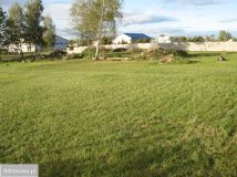 Działka inwestycyjna Prochowice. Zdjęcie 3