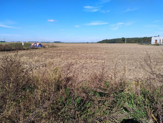 Działka budowlana Karczów, ul. Kokosowa. Zdjęcie 1