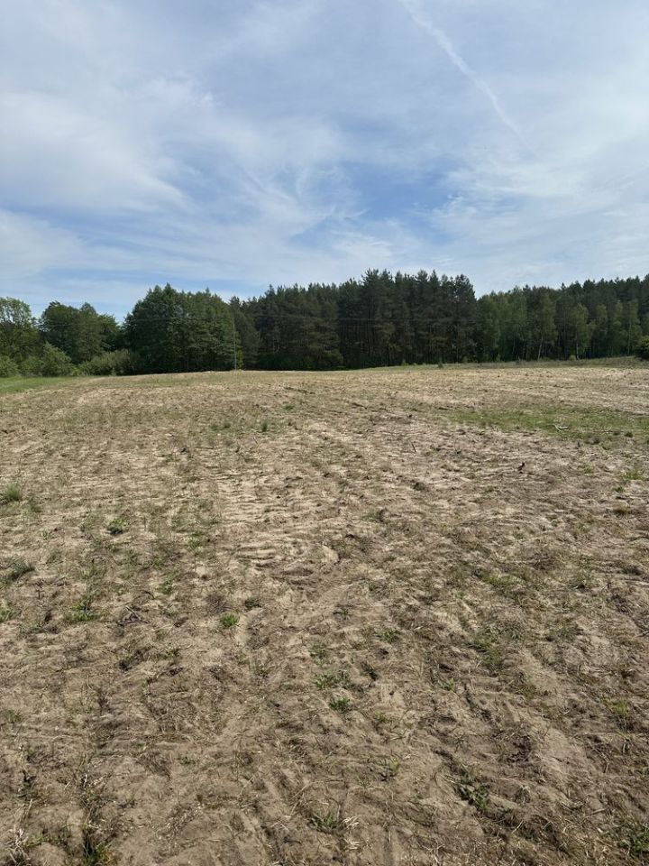 Działka budowlana Wilczeniec Fabiański