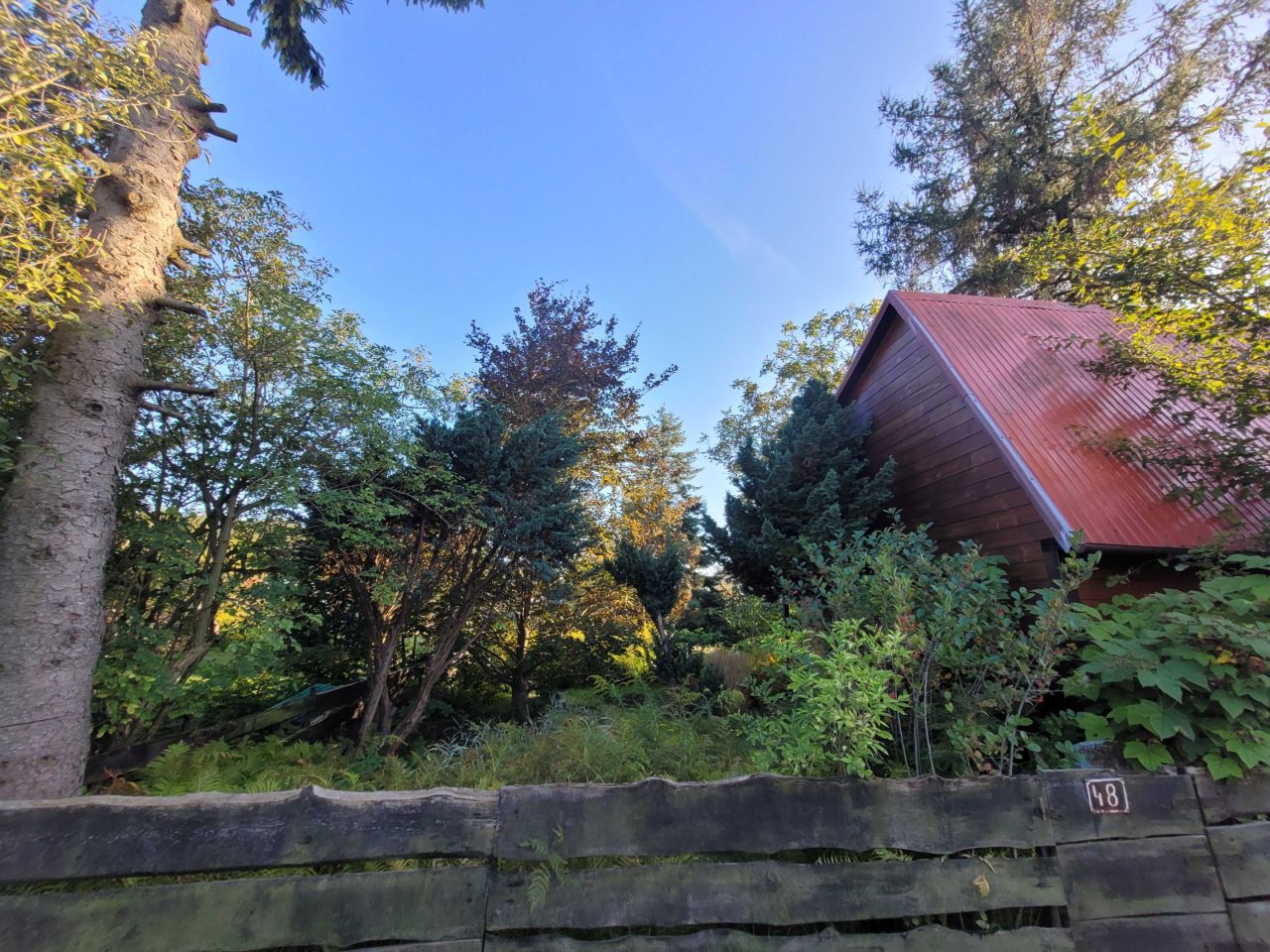 Działka rod Augustów. Zdjęcie 6