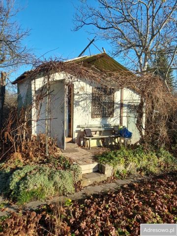 Działka rod Wrocław Krzyki, ul. Zabrodzka. Zdjęcie 1