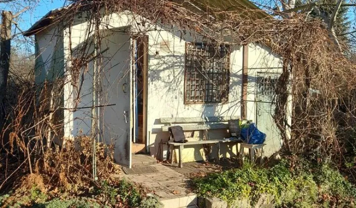 Działka rod Wrocław Krzyki, ul. Zabrodzka