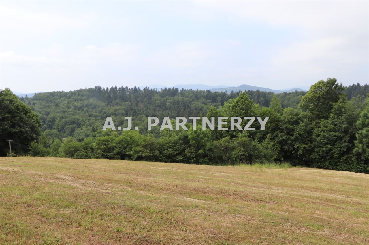 Działka Pasierbiec. Zdjęcie 15