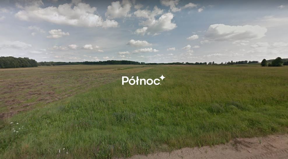 Działka rolna Rogowo. Zdjęcie 3