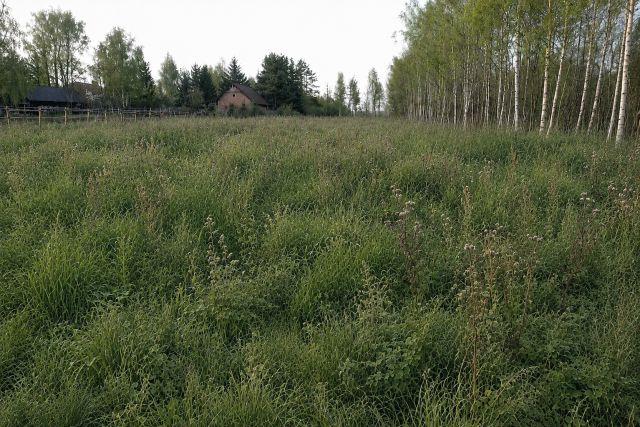 Działka budowlana Celinów, ul. Karych Koni. Zdjęcie 1