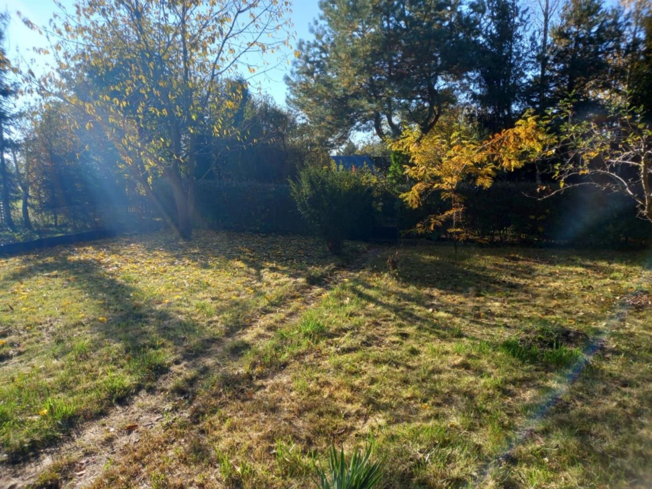 Działka rod Płock. Zdjęcie 5