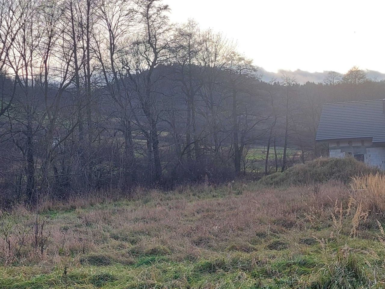 Działka rolno-budowlana Radziechowy. Zdjęcie 5