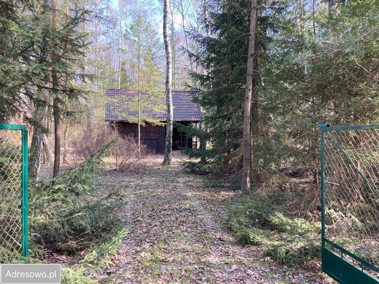 Działka budowlana Budy-Grzybek, ul. Sasanki. Zdjęcie 9