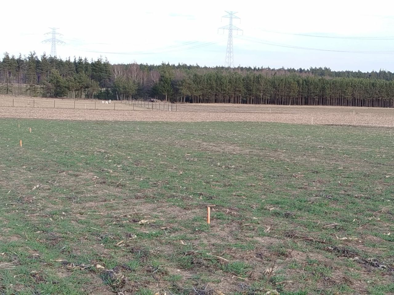 Działka budowlana Sylczno. Zdjęcie 5