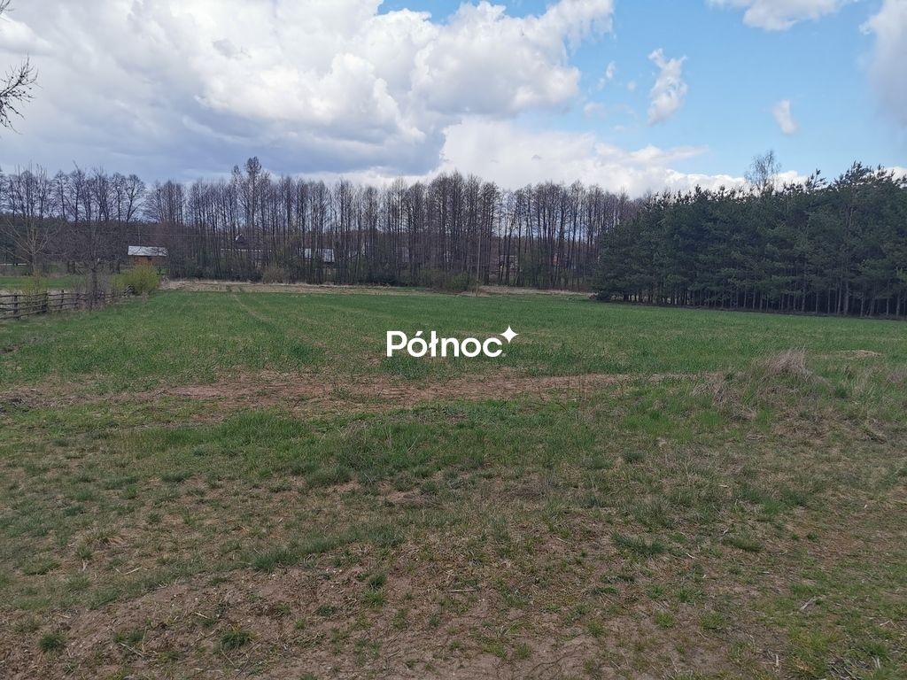 Działka rolna Grabowiec. Zdjęcie 16