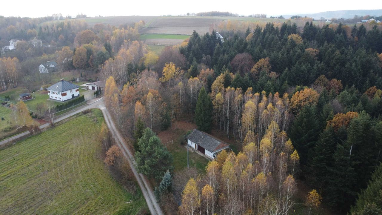 gospodarstwo Skołyszyn. Zdjęcie 6