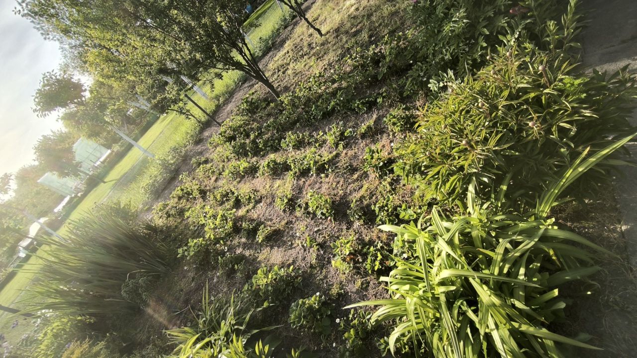 Działka rod Legnica. Zdjęcie 3