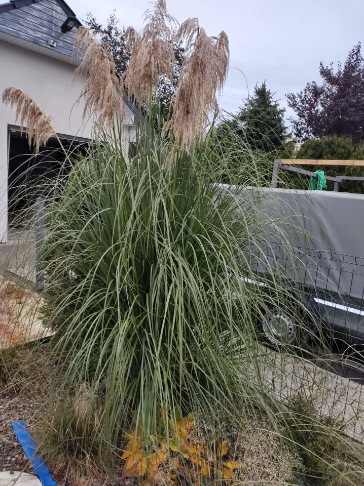 dom wolnostojący, 4 pokoje Kliniska Wielkie, ul. Piękna. Zdjęcie 21