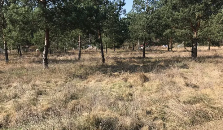 Działka budowlana Nowe Biskupice