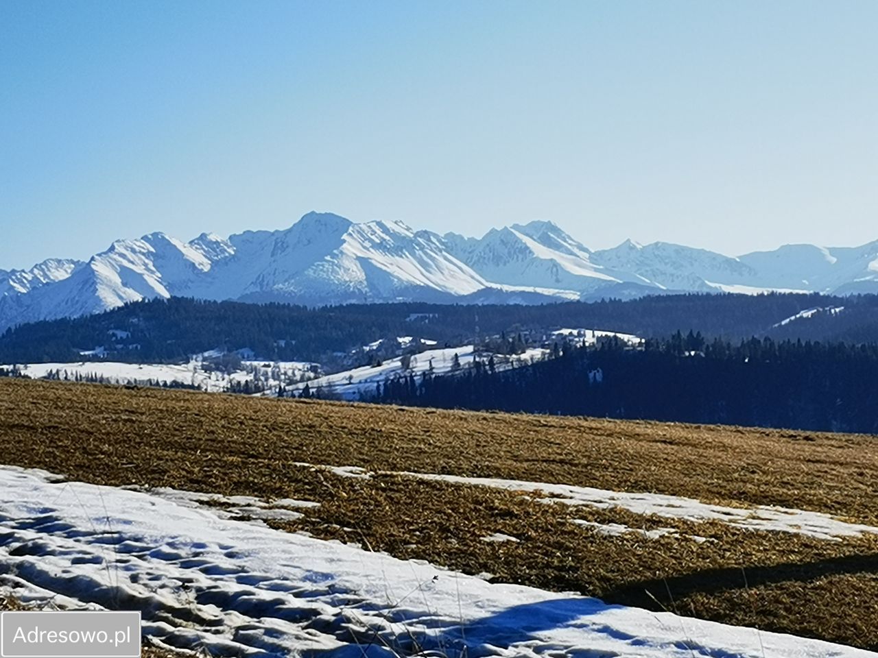 Działka inwestycyjna Rzepiska