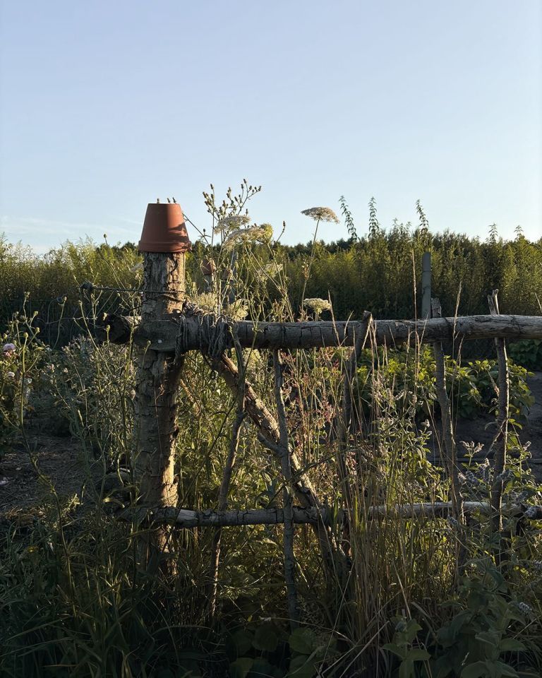 Działka budowlana Marszewo. Zdjęcie 7