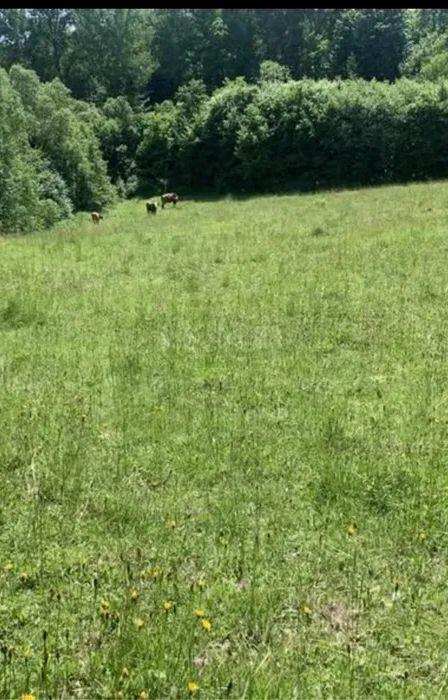 Działka rolno-budowlana Brzezna Brzezna-Litacz, brzezna-litacz. Zdjęcie 5