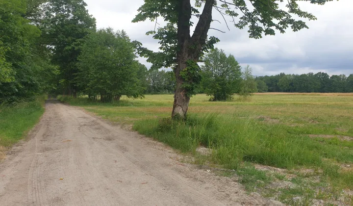 Działka rolna Broniszów