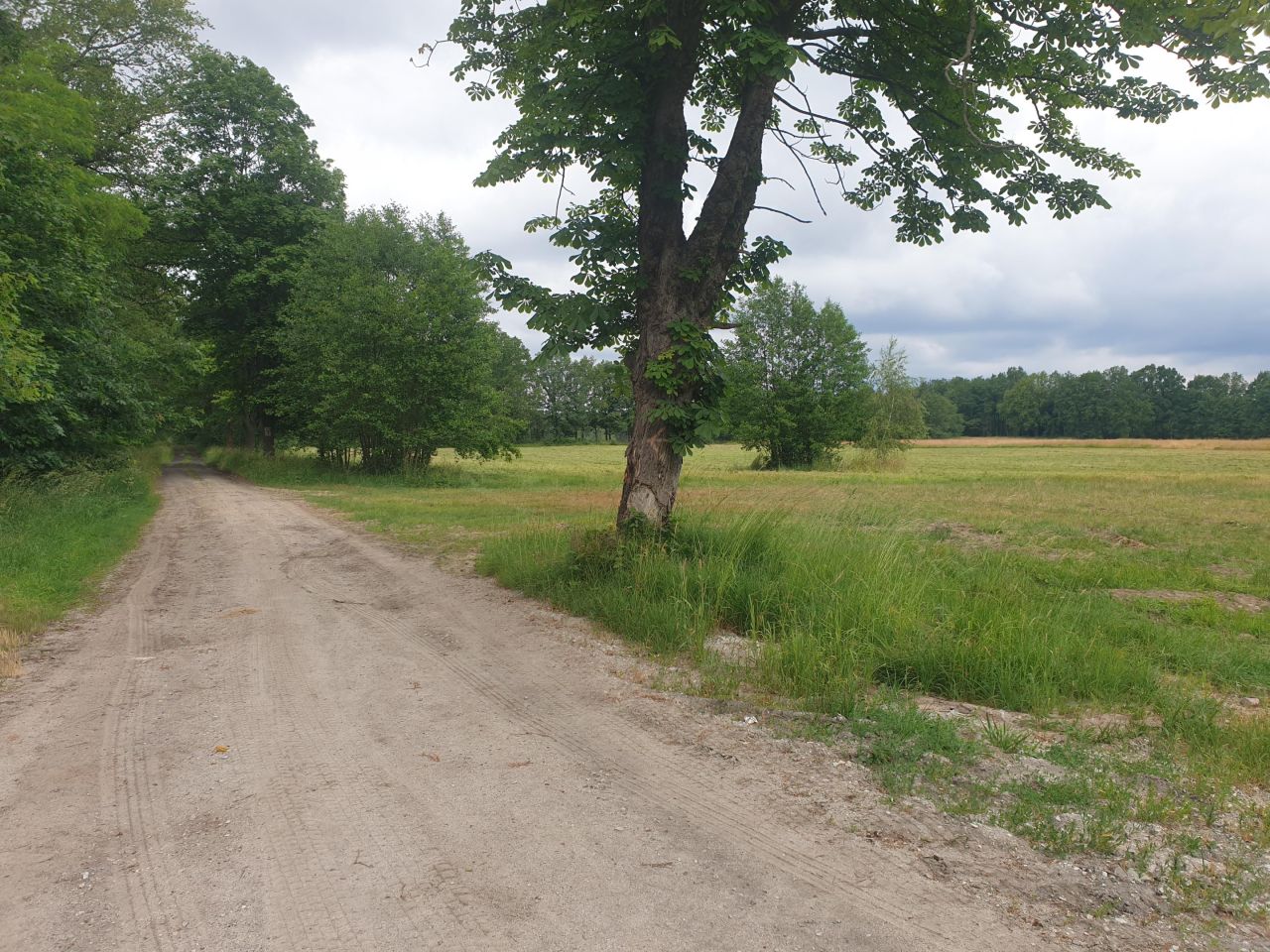 Działka rolna Broniszów. Zdjęcie 1