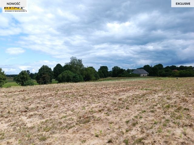 Działka rolna Długie. Zdjęcie 3