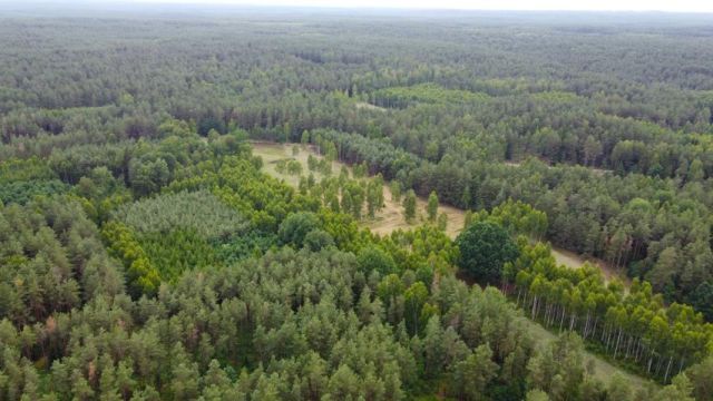 Działka rolna Dzierniakowo. Zdjęcie 9