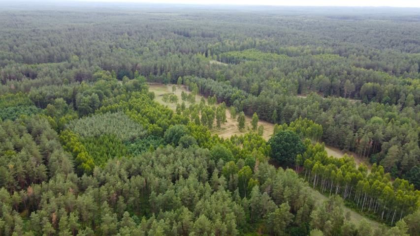 Działka rolna Dzierniakowo. Zdjęcie 9