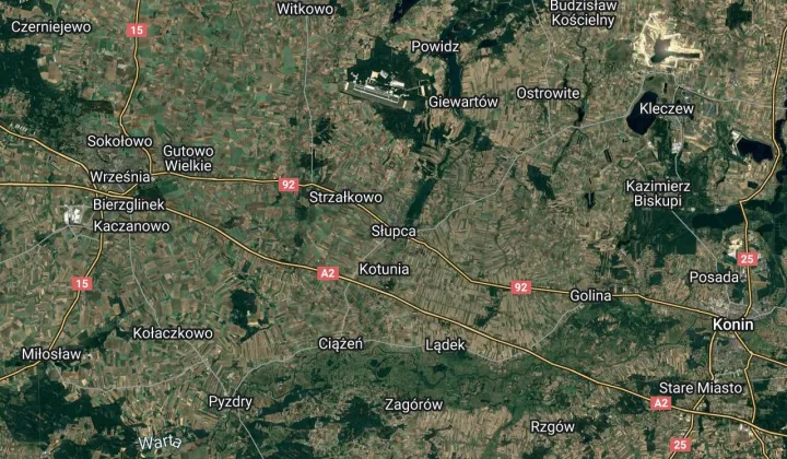 Biuro Słupca, ul. Apolinarego Szeluty