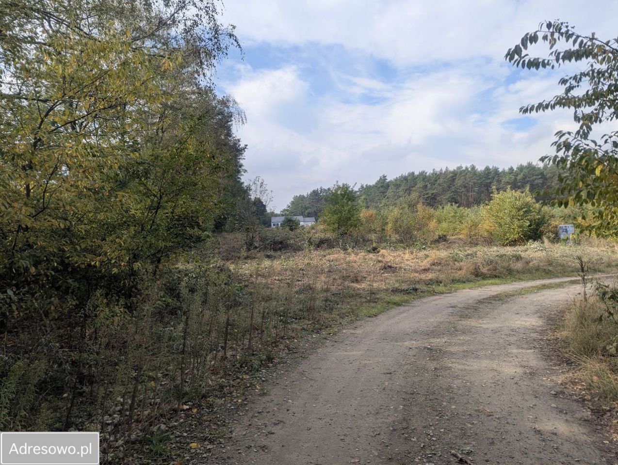 Działka budowlana Żółwin, ul. Tiulowa. Zdjęcie 3