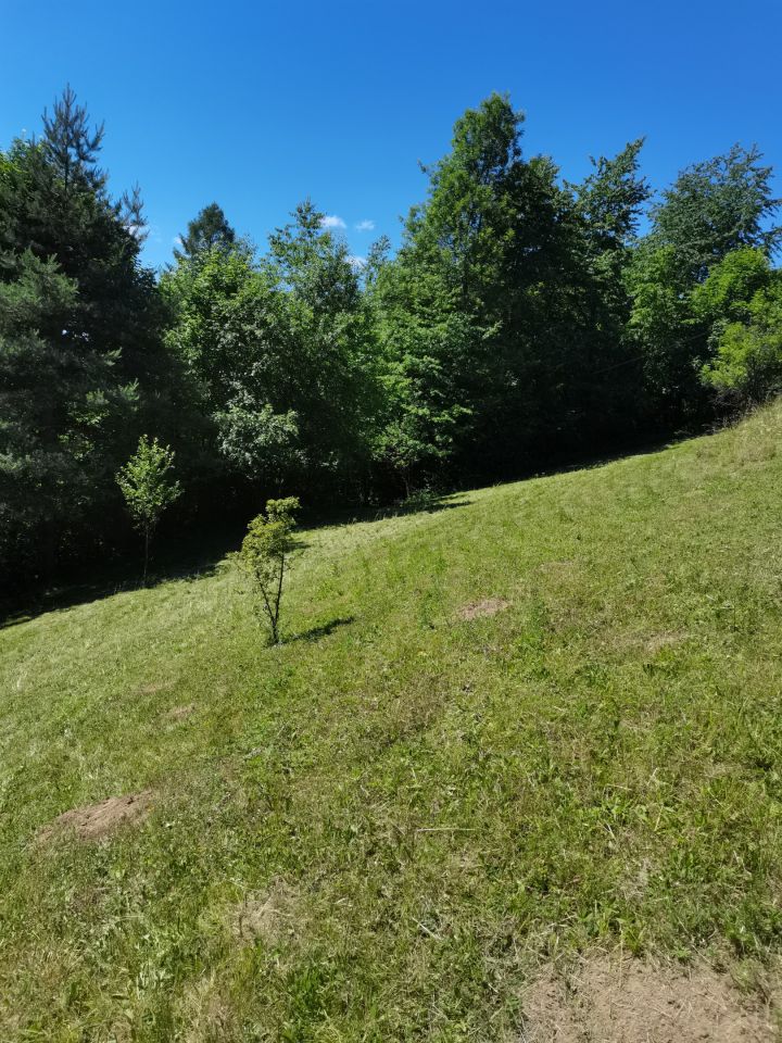 Działka rolno-budowlana Szczawnica Kunie, ul. Kunie. Zdjęcie 7