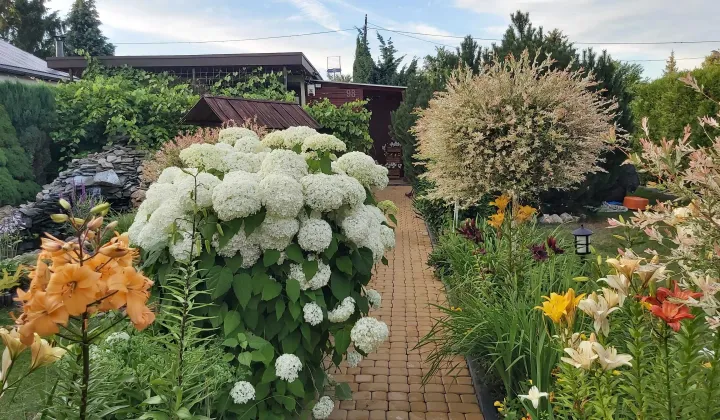 Działka rod Czeladź Kolonia Małobądz, ul. Szpitalna