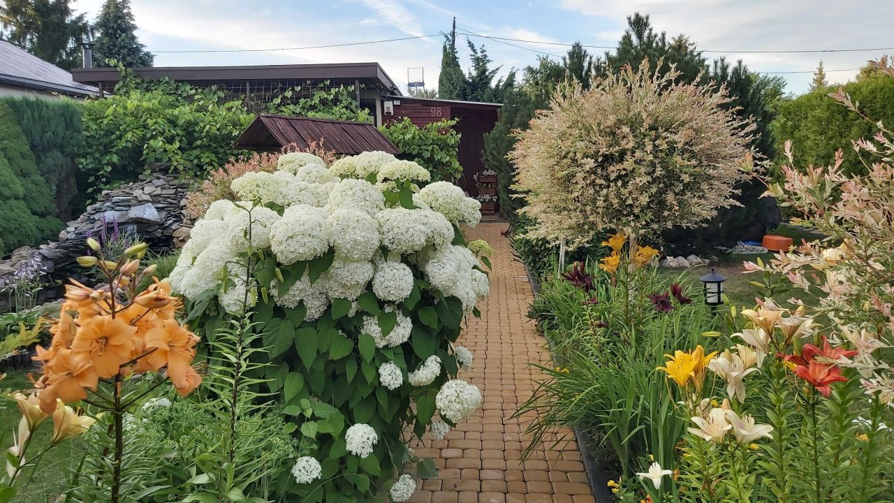Działka rod Czeladź Kolonia Małobądz, ul. Szpitalna. Zdjęcie 1