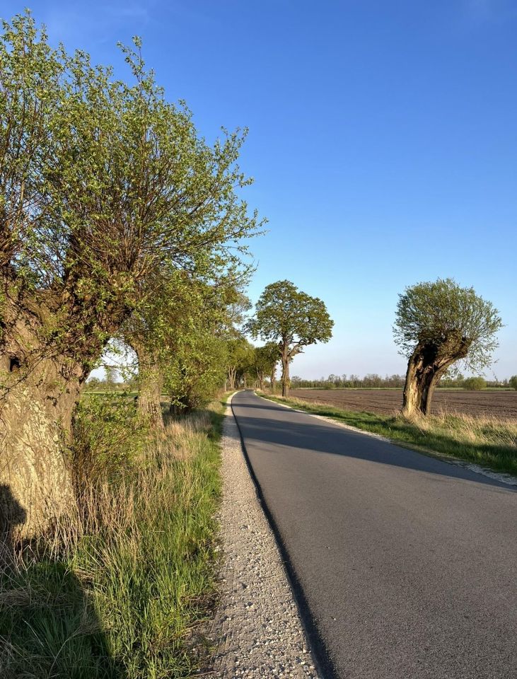 Działka budowlana Zalesie, Ameryczka. Zdjęcie 2